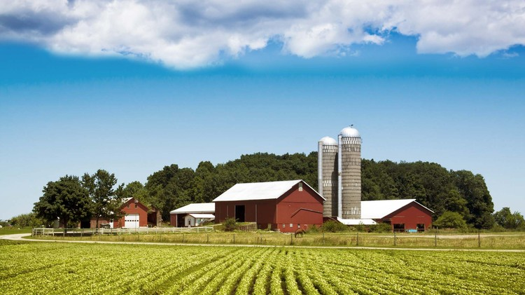 Organic vegetable farm